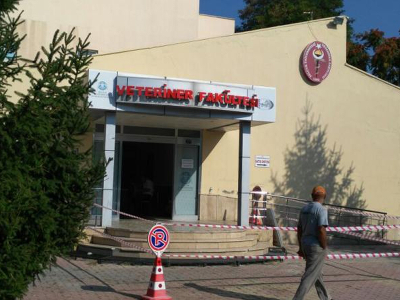 Veterinerlik Fakültesi